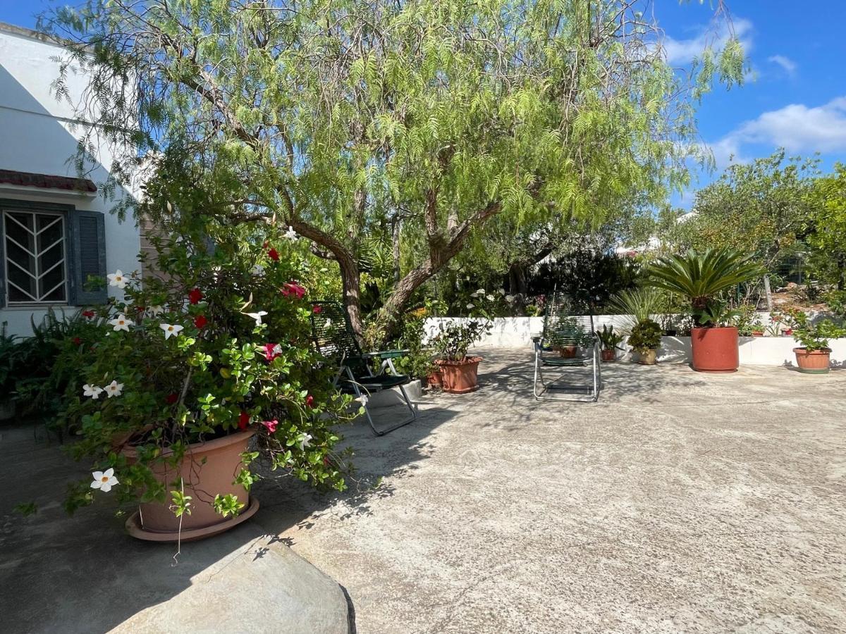 Villa Gioia Ostuni Exteriör bild
